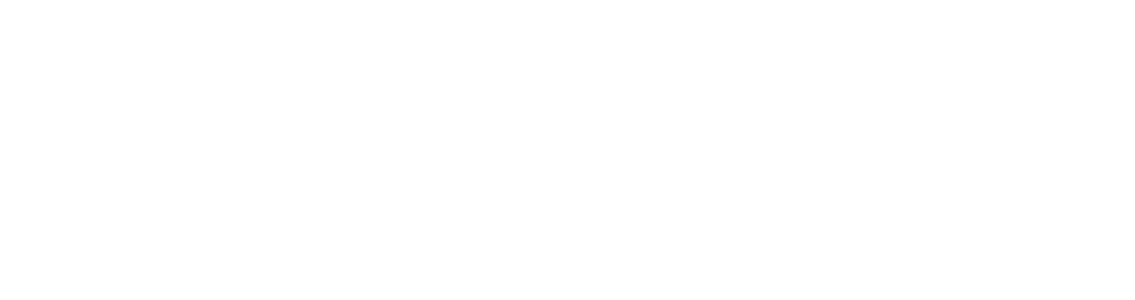 Logo-Viacentric-White