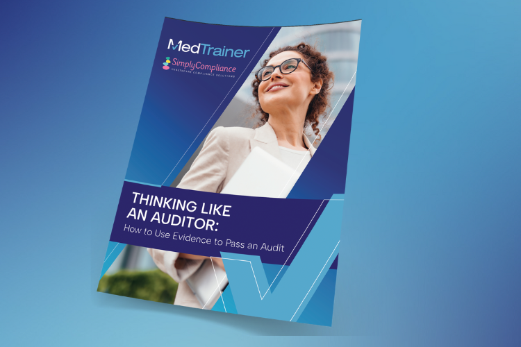 audit documentation guide (3)