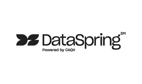 dataspring-logo